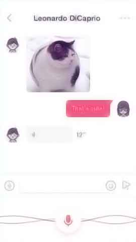 攻击网站教程软件程序维护界面